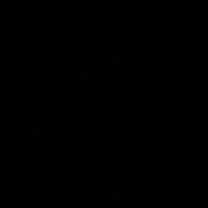 Meet your Posher, Erwin